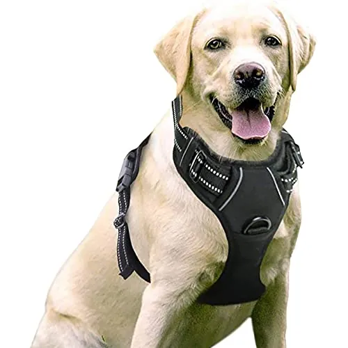 rabbitgoo Arnes Perro Grande Mediano Pequeño Arnés Pecho Antitirones Perros Coche con Lineas Reflecantes Cómodo Transpirable Chaleco Acolchado Ajustable para Adiesreamiento Correr Negro Tamaño Grande