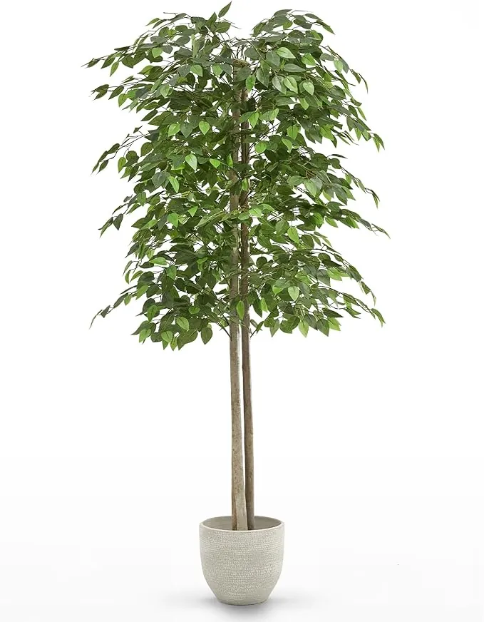 MAIA SHOP Ficus Artificial 180 cm con Tronco Natural, Planta Artificial Grande Realista para Decoración de Interiores en Hogar, Oficina, Hotel o Eventos