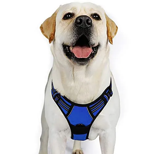 rabbitgoo Arnes Perro Grande, Arnes Perro Antitirones Coche con Lineas Reflecantes, Chaleco Acolchado Ajustable Transpirable con Asa y Anillos para Adiesreamiento Correr Tamaño XL Color Azul