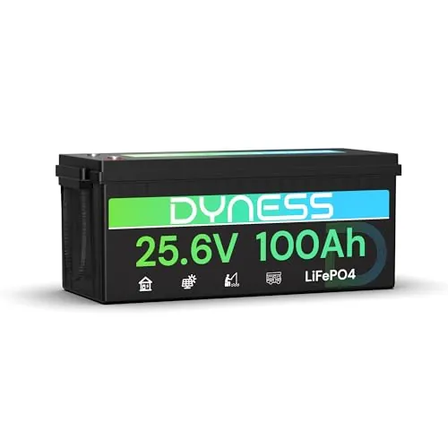 Dyness Batería Litio 24V 100Ah LiFePO4 con BMS 100A y Protección contra Bajas Temperatura, 24V Bateria LiFePO4 para Camper, Solar, Autocaravanas (RV), Barcos de Pesca de Róbalo