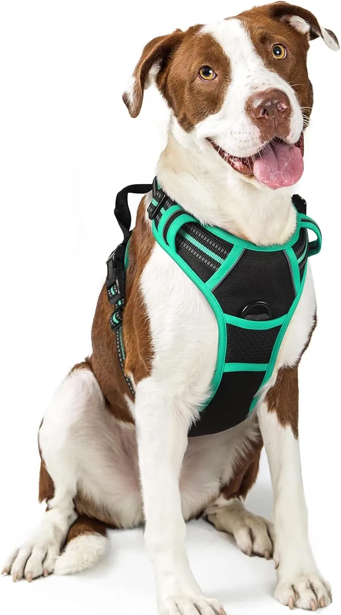 rabbitgoo Arnes Perro Grande, Arnes Perro Antitirones Coche con Lineas Reflecantes, Chaleco Perro Acolchado Ajustable Transpirable con Asa y Anillos para Adiesreamiento Tamaño L, Negro y Menta Verde