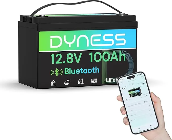 Dyness Batería LiFePO4 12V 100Ah Bluetooth, 12V Batería de Litio Hierro de Fosfato de Ciclo Profundo con 100A BMS, para Autocaravana, Marina, Campistas, Sistemas Solares