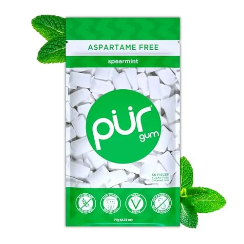 PUR Gum | Chicle Sin Azúcar | 100% Xilitol | Vegano, Sin Aspartamo, Sin Gluten y Apto Para Diabéticos | Chicle con Sabor Natural a Spearmint, 55 Piezas (Paquete de 1)