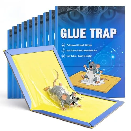 Tesmotor Trampa Adhesiva para Ratones y Ratas