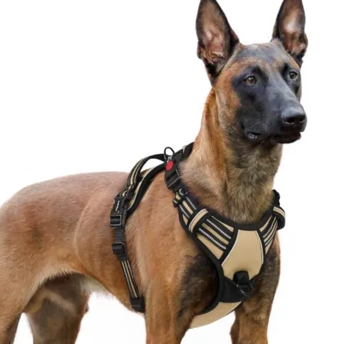 rabbitgoo Arnes Perro Grande con 3 Hebillas, Liberacion del Cuello, Arnes Perro Ajustable con Asa y Clip Frontal, Arnés Antitirones para Perros Reflectante para Adiestramiento Correr, Marrón, XL