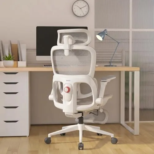 SIHOO B300Pro Silla Ergonómica Oficina con Reposapiés Soporte Lumbar 4 Vías