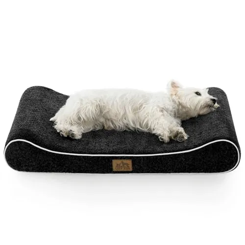 COZY KISS Cama Perro Lavable Impermeable 90x60cm para Perro Mediano, Negro