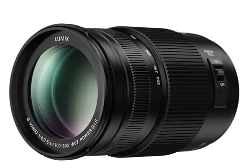 Panasonic LUMIX H-FSA100300 II - Objetivo Tele Zoom para cámaras de montura M4/3 (Focal 100-300 mm, F4-F5.6, tamaño filtro 67 mm, POWER O.I.S), negro