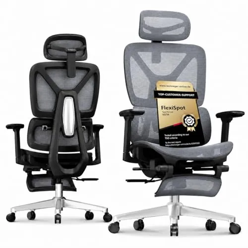 FLEXISPOT ErgoX Lite Silla de Oficina Ergonómica, Gris