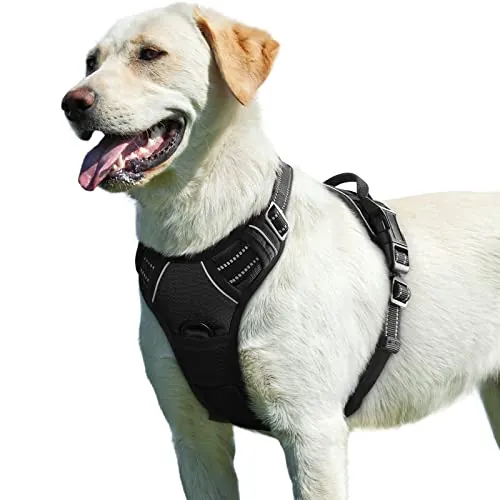 Eagloo Arnes Perro Grande Mediano, Arnes Antitirones Perro Antiescape, Chaleco Acolchado Ajustable, Anillos de Pecho y Espalda, Transpirable con Cinta Reflectante, Ejercer Correr, L Negro