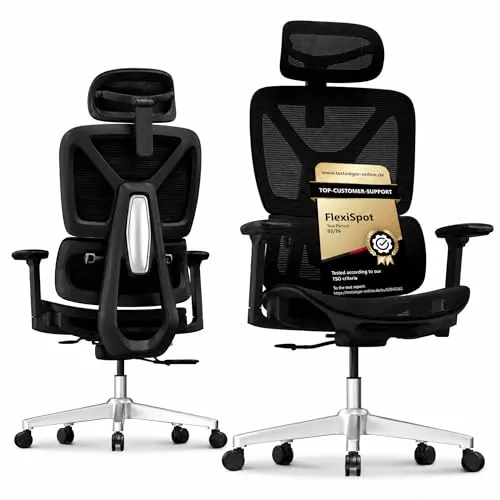 FLEXISPOT ErgoX Lite Silla de Oficina Ergonómica, Noir