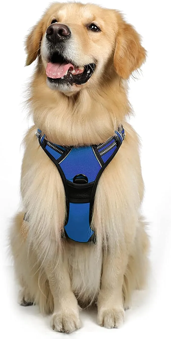 rabbitgoo Arnes Perro Grande, Arnes Perro Antitirones Coche con Lineas Reflecantes, Chaleco Acolchado Ajustable Transpirable con Asa y Anillos para Adiesreamiento Correr Tamaño L Color Azul