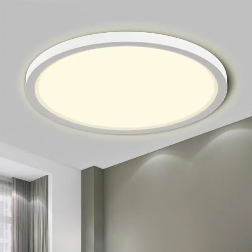LQWELL Lámpara de techo LED Ultra Delgada Blanco 22cm 18W 4000K