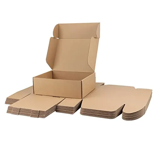 RLAVBL Pack de 20 Cajas de Cartón 30,5x22,9x10,2 cm con Tapa para Envíos