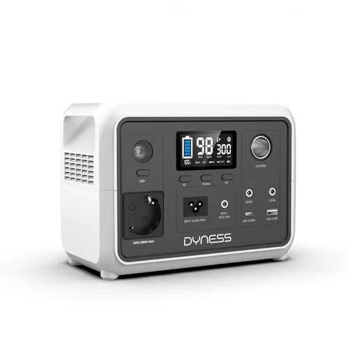 Dyness Estación de Energía Portátil 300W, 256Wh Generador Solar Portatil con Batería LiFePO4, Tomacorriente CA, 6 Salidas, 4 Cargas, Energía de Emergencia para Campamentos, Autocaravanas y Viajes