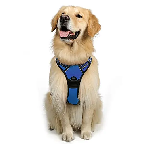 rabbitgoo Arnes Perro Grande, Arnes Perro Antitirones Coche con Lineas Reflecantes, Chaleco Acolchado Ajustable Transpirable con Asa y Anillos para Adiesreamiento Correr Tamaño L Color Azul