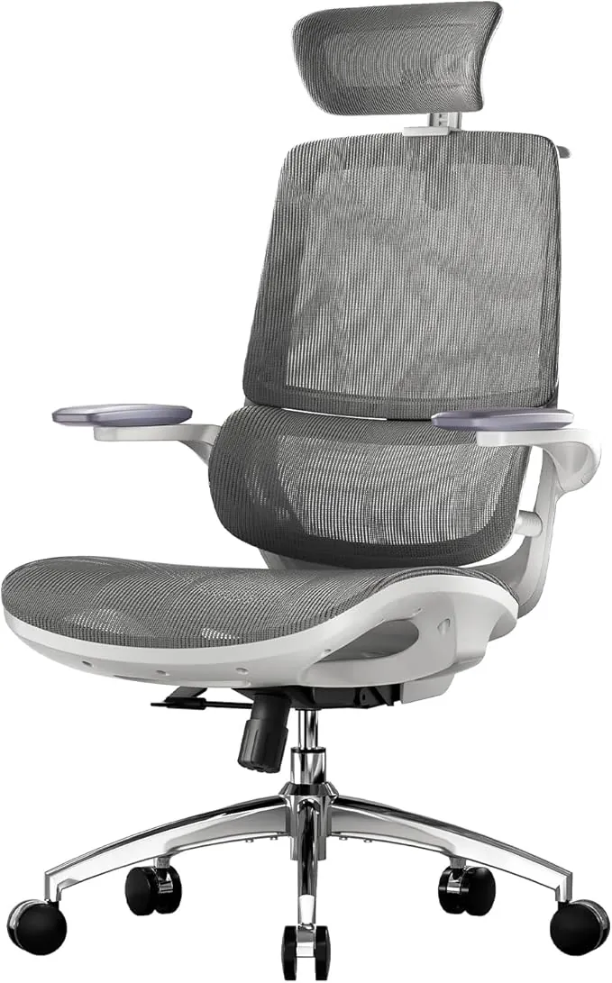 SIHOO M59AS Silla de Oficina Ergonómica con Reposabrazos 3D Plegables, Respaldo Doble y Soporte Lumbar Dinámico, Silla de Malla para Oficina en Casa(Gris)