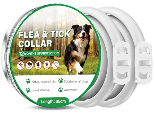 Collar Antiparasitario Perros 2 Unidades, hasta 12 Meses de Protección Prolongada, Collar Antipulgas y Garrapatas con Aceites Esenciales Naturales, 65 cm Ajustable Impermeable para Todos los Perros