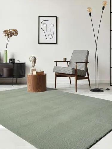 the carpet Relax - Alfombra Moderna y mullida de Pelo Corto, para salón, Parte Inferior Antideslizante, Lavable hasta 30 Grados, Muy Suave, Verde, 300 x 400 cm