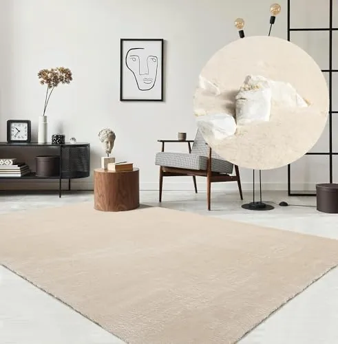 the carpet Relax - Alfombra Moderna y mullida de Pelo Corto, para salón, Parte Inferior Antideslizante, Lavable hasta 30 Grados, Muy Suave, Beige, 300 x 400 cm