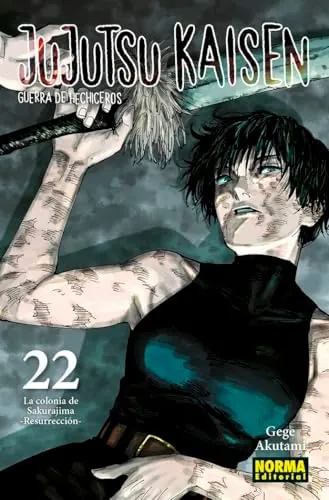 JUJUTSU KAISEN 22