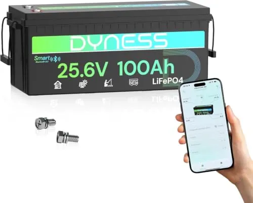 Dyness Batería Litio 24V 100Ah LiFePO4 con Bluetooth y BMS 100A, Protección contra Bajas Temperatura, 24V Bateria LiFePO4 para Camper, Solar, Barcos Pesca Róbalo, Autocaravanas (RV), Fuera de la Red
