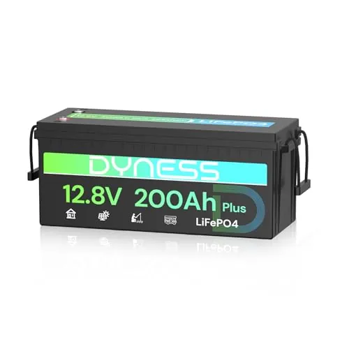 Dyness LiFePO4 Batería de Litio 12V 200Ah con BMS de 200A y Protección contra Bajas Temperaturas, 2560Wh para Ciclo Profundo en Marina/RV, Ideal para Solar, Overland/Furgonetas y Fuera de la Red