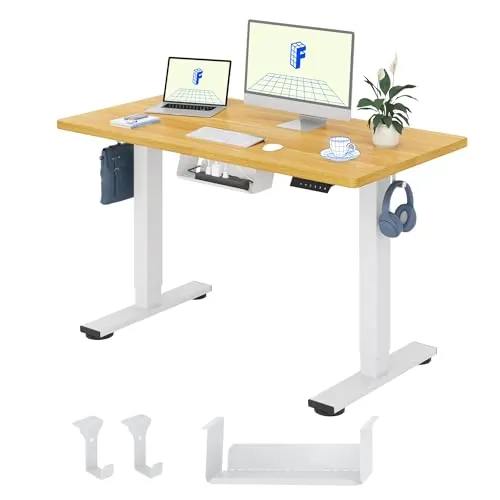 FLEXISPOT QE1 MAX 120x60cm Escritorio Elevable Eléctrico con Tablero Entero Mesa de Elevable, Standing Desk, Mesa Elevable Escritorio con 2 Ganchos y 4 Funciones de Memoria