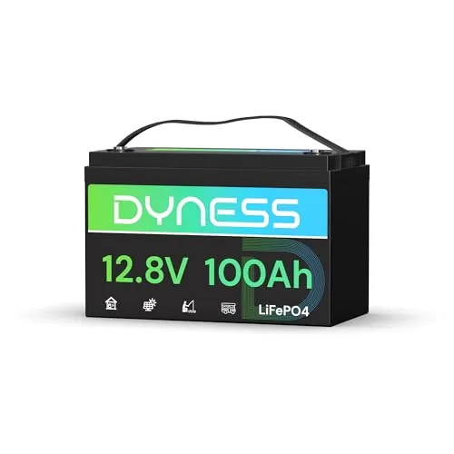 Dyness Batería LiFePO4 12V 100Ah, 12V Batería de Litio Hierro de Fosfato de Ciclo Profundo con 100A BMS, Protección de Baja Temperatura, para Autocaravana, Marina, Campistas, Sistemas Solares