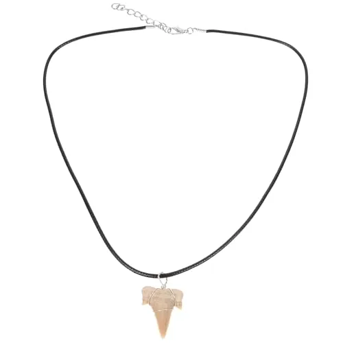 Homoyoyo Cadena de dientes de auténticos de piel sintética - Gargantilla con colgante de diente de - 49 x 35 cm Joyas únicas para amantes y aventureros