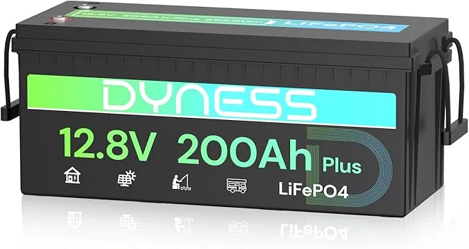 Dyness LiFePO4 Batería de Litio 12V 200Ah con BMS de 200A y Protección contra Bajas Temperaturas, 2560Wh para Ciclo Profundo en Marina/RV, Ideal para Solar, Overland/Furgonetas y Fuera de la Red