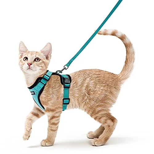 rabbitgoo Arnes para Gatos Antiescape con Correa 150cm, Arnes Gato Ajustable Reflectante, Chaleco de Tela de Malla Suave y Transpirable, Arnés Gato Mediano para Caminar Entrenar, S, Verde