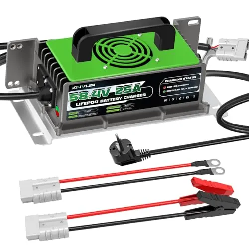 58,4V 25A Cargador de batería LiFePO4 para baterías Recargables de Ciclo Profundo de fosfato de Hierro y Litio de 48V (51,2V)