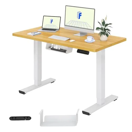 FLEXISPOT Escritorio Elevable Eléctrico 100x60cm, Mesa Escritorio Tablero Entero con Memoria, Sistema Anticolisión, para Oficina, Casa,Teletrabajo y Zona Compacta, Arce