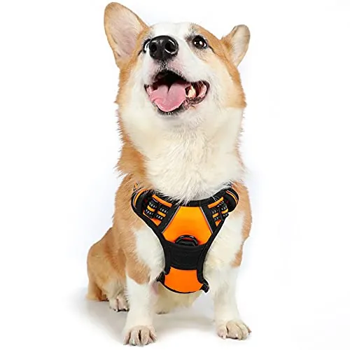 rabbitgoo Arnes Antitirones Perro Ajustable con Lineas Reflectantes Arnés Coche Perro Coche Adiesreamiento Arnes Perro Chaleco Transpirable con Asa Seguridad Mediano Naranja