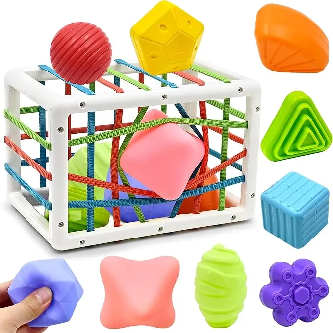 Juguetes de Habilidades Motoras para Bebé 12 18 24 Meses, Juegos Montessori Educativos Aprendiendo Caja de Clasificación Sensorial con 6 Piezas Textura Ball y 3 Bolas Blandas Juguetes niños 1 2 3 año