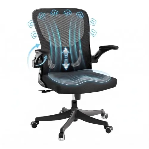 Monhey Silla de Oficina Ergonómica con Soporte Lumbar, Altura Ajustable, Brazos Abatibles 2D, Malla Negra Transpirable, Silla de Escritorio Cómoda para el Hogar, Oficina, Estudio y Juegos.