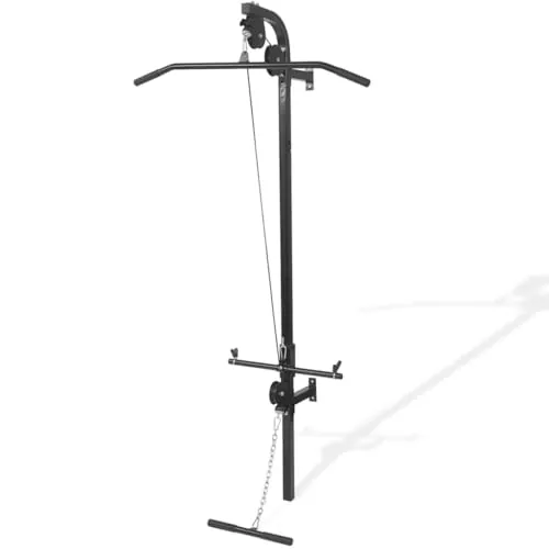 vidaXL Gimnasio de Pared, 2 Poleas, Jalón Superior e Inferior, Estructura de Acero Robusto, 99x53x194 cm, Mangos Soft-Grip, Soporta 120 kg de Discos, Compatible con Discos de 25 mm
