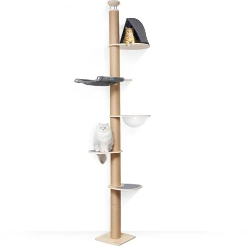 FUKUMARU Árbol rascador para Gatos, Torre de 6 Niveles hasta el Techo (280-300 cm), montado en la Pared, Hecho de Madera de Caucho Natural, con cápsula Espacial Transparente y cómoda Hamaca, Gris