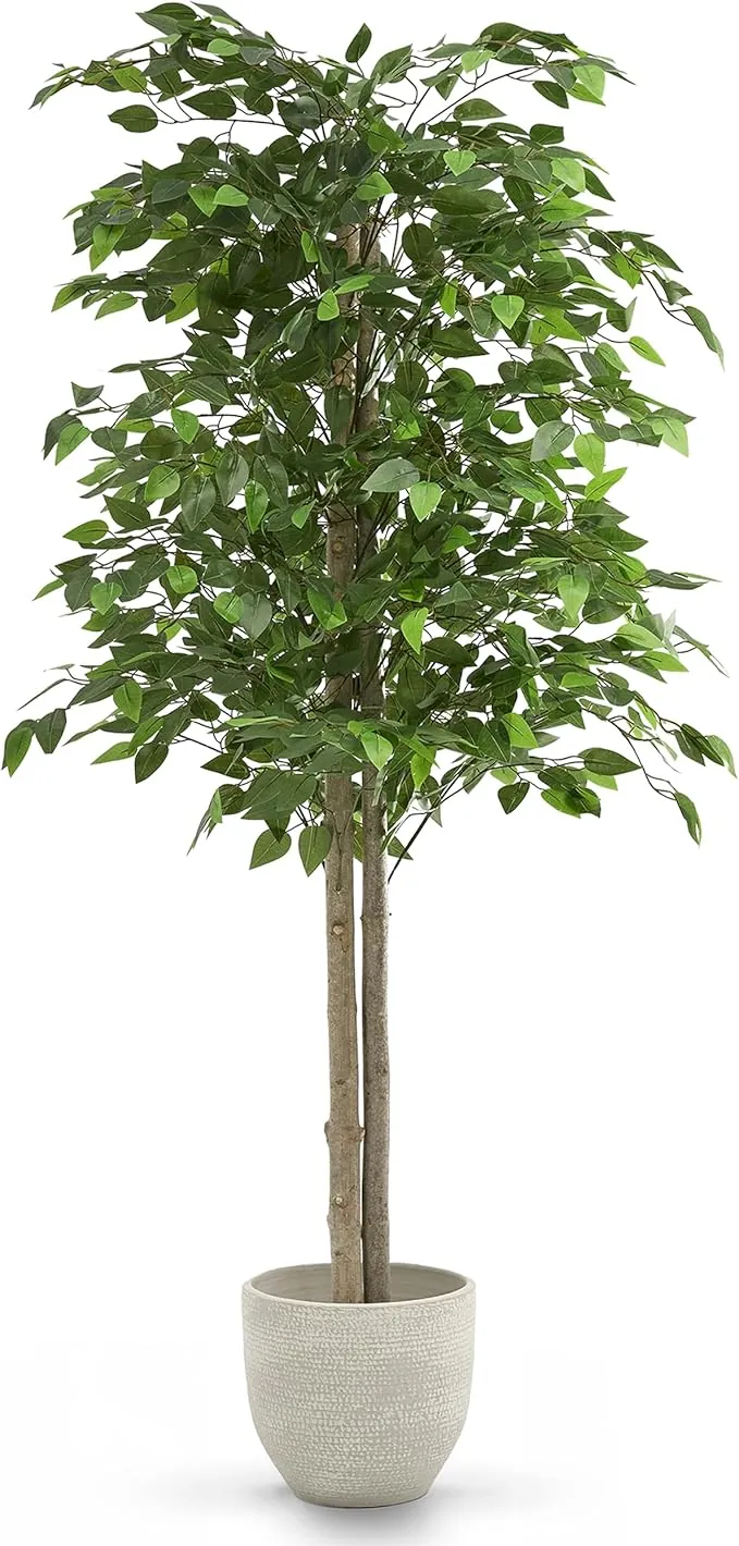 MAIA SHOP Ficus Artificial 150 cm con Tronco Natural, Planta Artificial Realista de Interior, Árbol Decorativo Grande para Hogar, Oficina, Hotel o Eventos