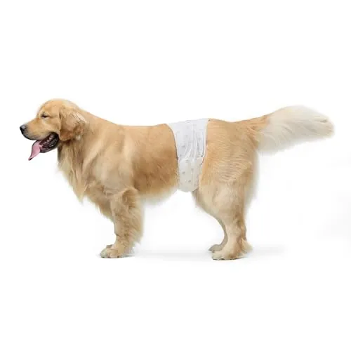 Amazon Basics Pañales Desechables para Perros Macho, S, Paquete de 50, Color Blanco