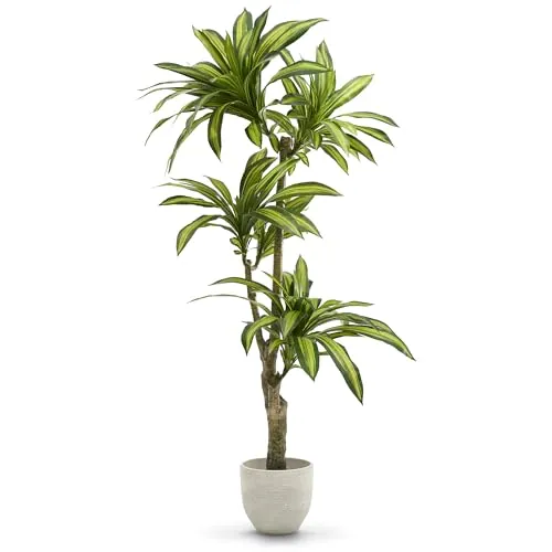 MAIA SHOP Plantas Artificiales Decorativas - Drácena Artificial 170 cm, Arbol Artificial, Planta Artificial Realista, Drácena Artificial, Decoración Hogar