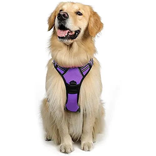 rabbitgoo Arnés para perro grande sin tirones con 2 clips de correa, arnés de chaleco acolchado suave ajustable para mascotas, reflectante, sin estrangulamiento, mango de fácil control para entrenar o