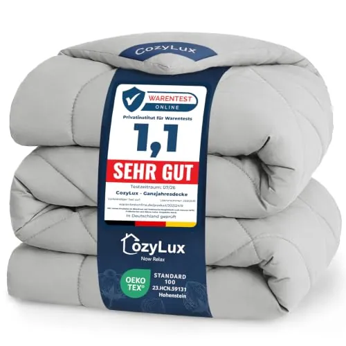 CozyLux Edredón 200x200 cm Gris Claro, Edredon Cama 105