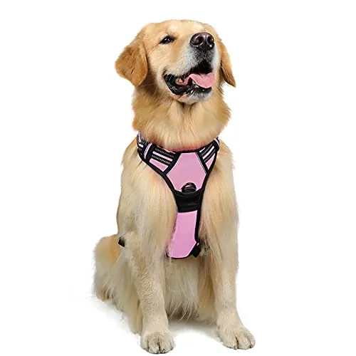 rabbitgoo Arnes Perro Grande, Arnes Perro Antitirones Coche con Lineas Reflecantes, Chaleco Acolchado Ajustable Transpirable con Asa y Anillos para Adiesreamiento Correr Tamaño L Color Rosa