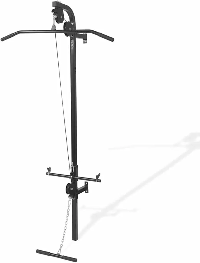 vidaXL Gimnasio de Pared, 2 Poleas, Jalón Superior e Inferior, Estructura de Acero Robusto, 99x53x194 cm, Mangos Soft-Grip, Soporta 120 kg de Discos, Compatible con Discos de 25 mm