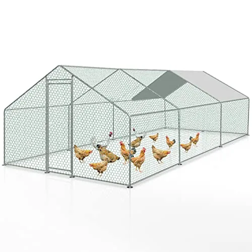 Joparri gallinero con Cerradura, 3x6x2m Acero galvanizado para Aves de Corral al Aire Libre, Jaula de Pollo y Pájaros
