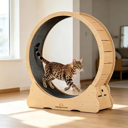 homegroove Pet Exercise Wheel