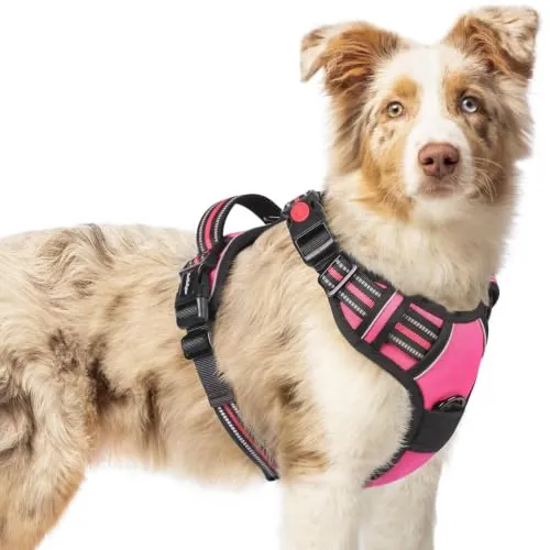 rabbitgoo Arnes Perro Mediano con 3 Hebillas, Liberacion del Cuello, Arnes Perro Ajustable con Asa y Clip Frontal, Arnés Antitirones para Perros Reflectante para Adiestramiento Correr, Rosa Rojo, M