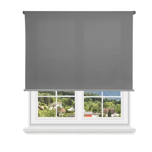 HOME MERCURY - Estor Enrollable translúcido Liso (135x180 cm, Gris)